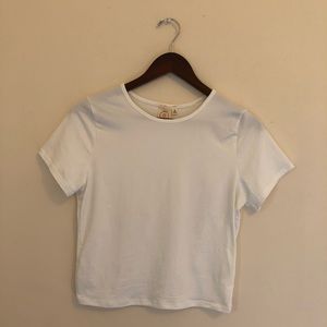 Live in the moment || cropped white tee